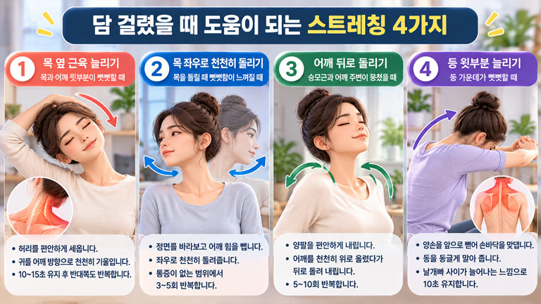 담 걸렸을 때 목 옆 근육 늘리기, 목 좌우로 돌리기, 어깨 뒤로 돌리기, 등 윗부분 늘리기 등 통증 완화에 도움이 되는 스트레칭 4가지를 설명한 3D 인포그래픽